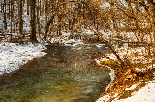 Read more about the article Photo of the Week: A Gentle Thaw