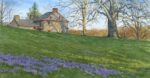 Spring on the Brandywine Battlefield_sm