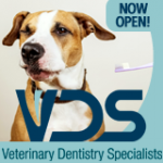 VDS – Veterinary Dentistry Specialists