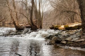 Read more about the article Photo of the Week: Calm and Rush