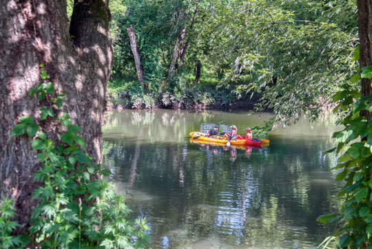 Read more about the article Photo of the Week: Summer Cruise