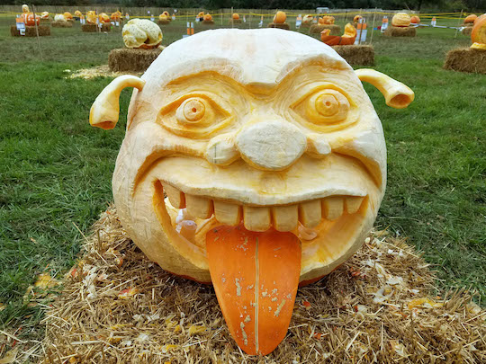 You are currently viewing The Great Pumpkin Carve 2019