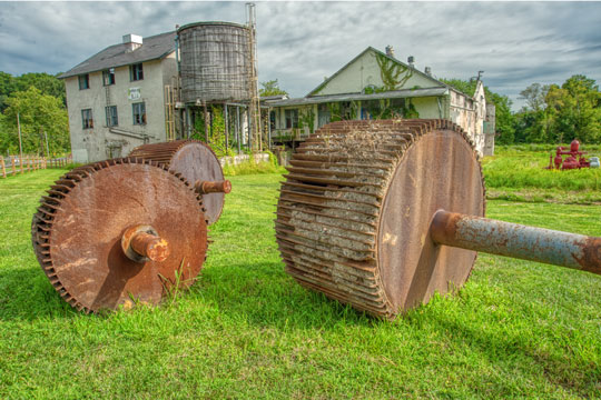Read more about the article Photo of the Week: Yard Art