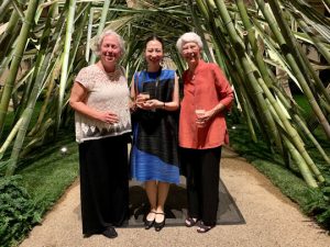 Read more about the article East meets west at Longwood Gardens