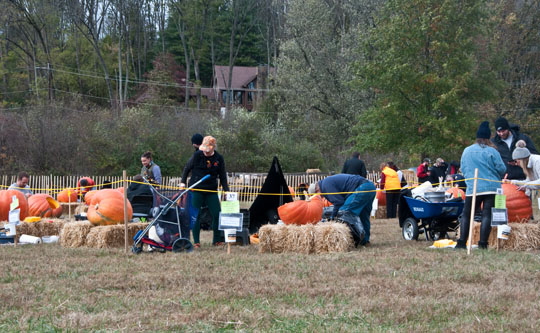 Read more about the article Pumpkin Carve kicks off with a windy blast