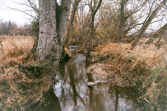 Read more about the article Photo of the Week: Run to the Creek
