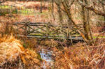 _1JF3945_edit-Rustic-Crossing