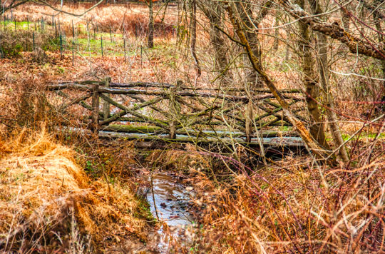 Read more about the article Photo of the Week: Rustic Crossing