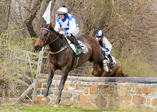 Read more about the article Brandywine Hills Point-to-Point is April 5