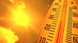 Read more about the article Heat advisory in effect