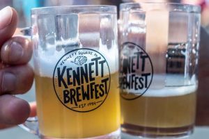 Read more about the article Changes for Kennett Brewfest