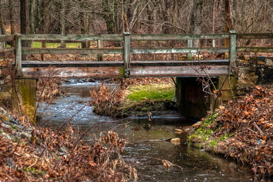 You are currently viewing Photo of the Week: Country Crossing