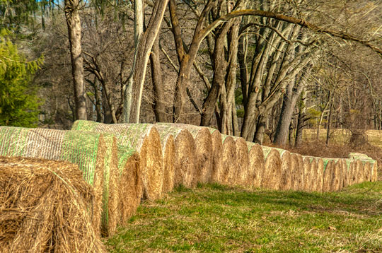 Read more about the article Photo of the Week: Hay Bale Serpentine