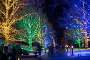 Read more about the article Longwood extends Xmas light show