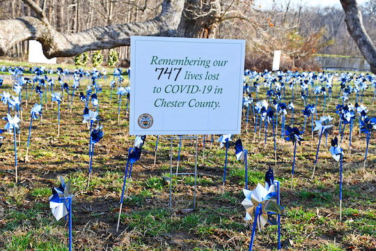 Read more about the article County holds COVID memorial