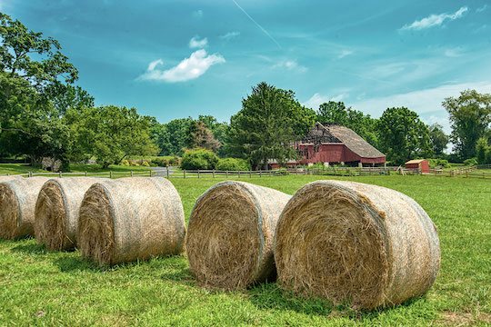 Read more about the article Photo of the Week: Bales and Barn
