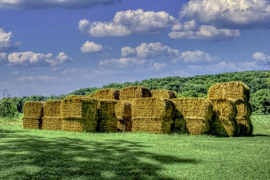 You are currently viewing Photo of the Week: Hayhenge