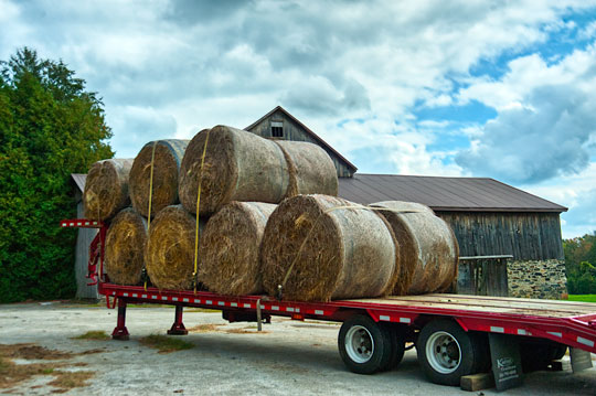 You are currently viewing Photo of the Week: Big Bales