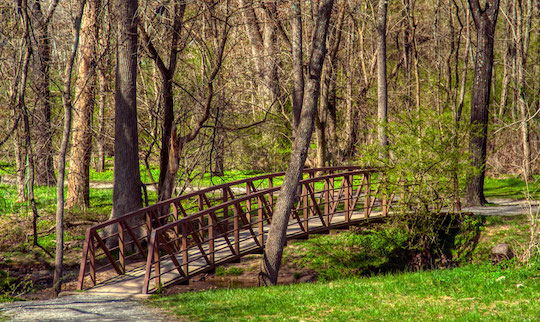 Read more about the article Photo of the Week: Anson’s Footbridge