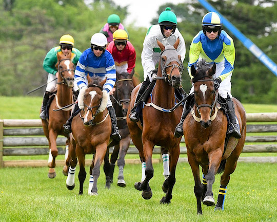 Read more about the article Radnor Hunt returns May 21