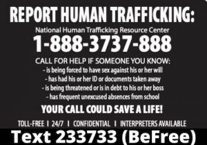 Read more about the article Libraries post human trafficking info