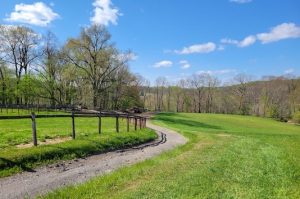 Read more about the article 113 more acres preserved in ChesCo