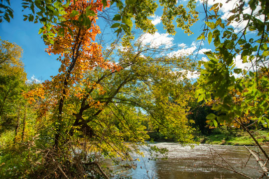 Read more about the article Photo of the Week: Autumn on the Brandywine