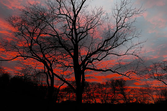 You are currently viewing Photo of the Week: Red Sunset