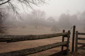 Read more about the article Photo of the Week: Fairville Fog
