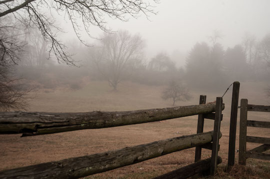 You are currently viewing Photo of the Week: Fairville Fog