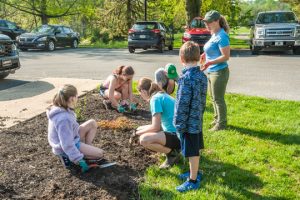 Read more about the article Hillendale goes green