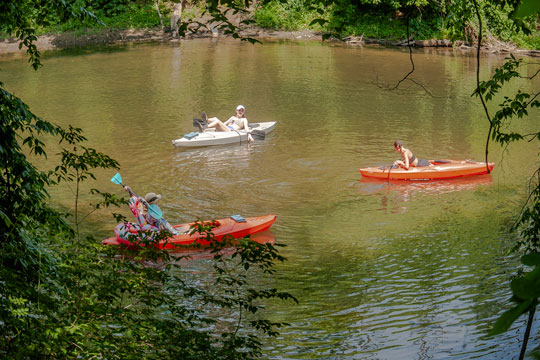 Read more about the article Photo of the Week: Lazy Day