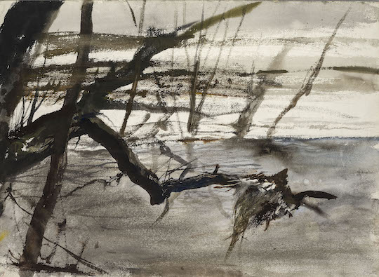 Read more about the article Brandywine Art Guide:  Unseen Wyeth works on display