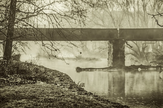 Read more about the article Photo of the Week: Misty Morn