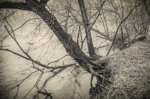 Read more about the article Photo of the Week: Hangin’ On