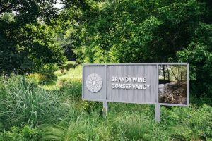 Read more about the article Conservancy renewing accreditation
