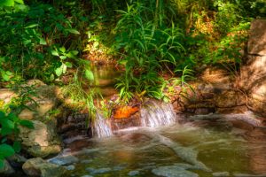 Read more about the article Photo of the Week: Mini Falls