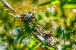 Read more about the article Photo of the Week: Family Stretch