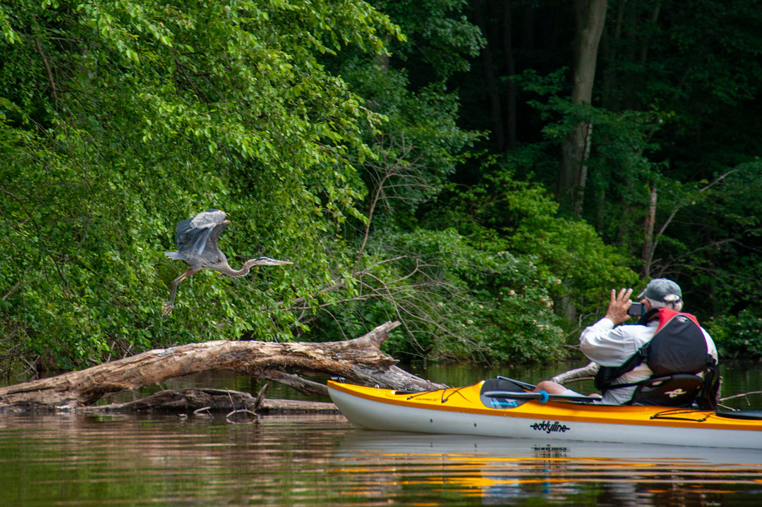 You are currently viewing Photo of the Week: Double Capture