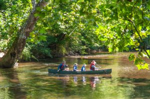 Read more about the article Photo of the Week: Brandywine Summer