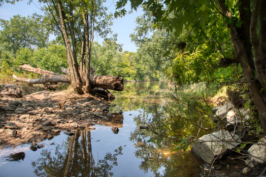 You are currently viewing Photo of the Week: After the Storm