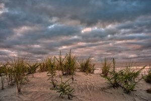 Read more about the article Photo of the Week: Dune Rise