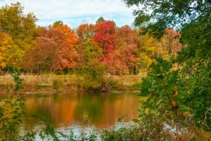 Read more about the article Photo of the Week: Lingering Warmth