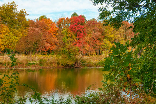 You are currently viewing Photo of the Week: Lingering Warmth