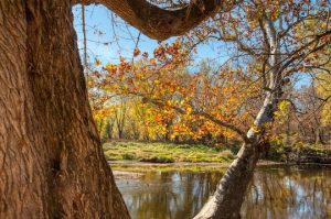 Read more about the article Photo of the Week: Heartfelt Autumn