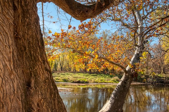 You are currently viewing Photo of the Week: Heartfelt Autumn