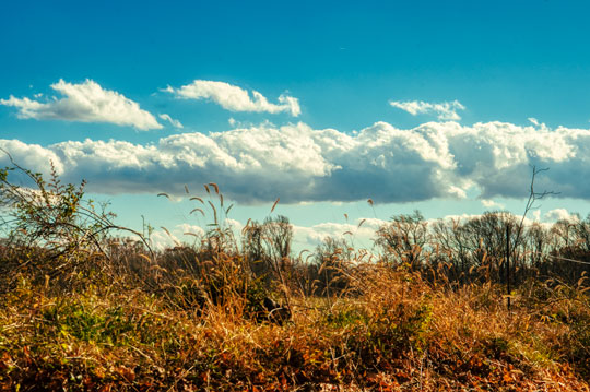 You are currently viewing Photo of the Week: Cotton Sky