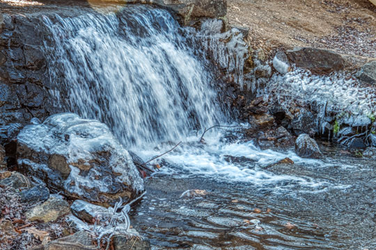 Read more about the article Photo of the Week: Frosty Times