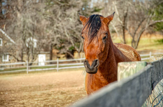 You are currently viewing Photo of the Week: Portrait