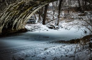 Read more about the article Photo of the Week: A Winter’s Day